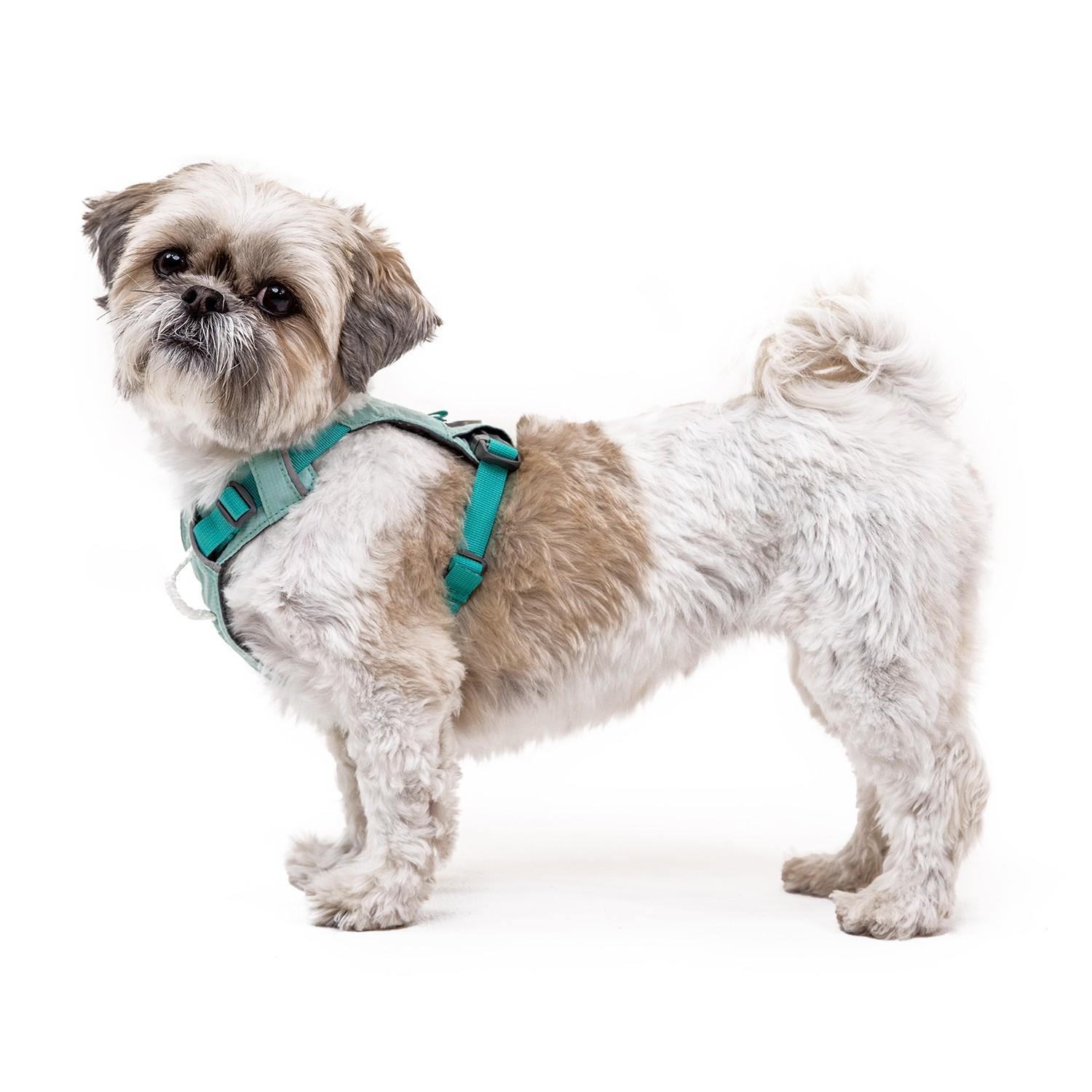 Ruffwear Hi & Light Harness - Sage Green | Canino Dog Boutique